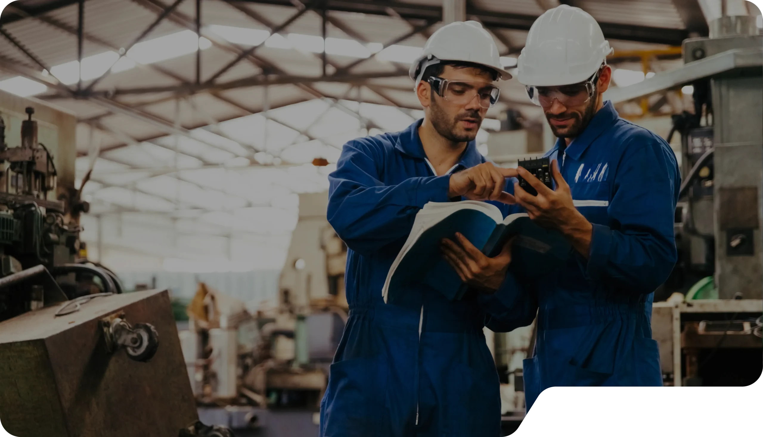 Rheo - Training hero image